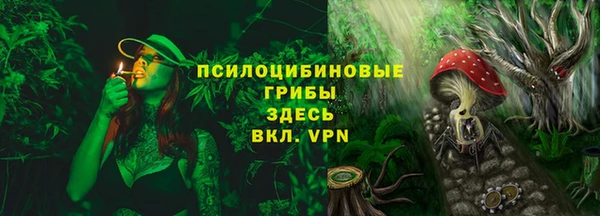 ГАЛЛЮЦИНОГЕННЫЕ ГРИБЫ Армянск