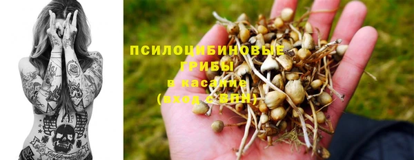 прущая мука Аркадак