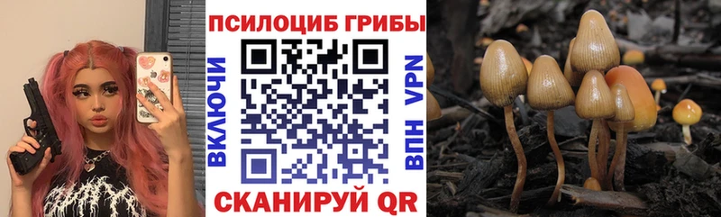 Галлюциногенные грибы мухоморы  сколько стоит  Долинск 